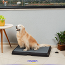 Baño Inteligente para Mascotas