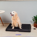 Baño Inteligente para Mascotas