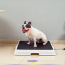 Baño Inteligente para Mascotas