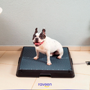 Baño Inteligente para Mascotas